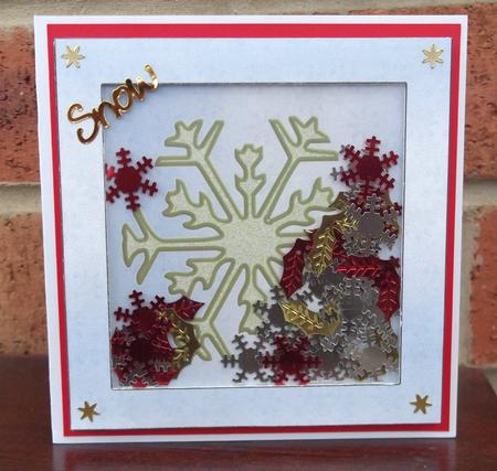 Snowflake Shaker Topper Sheet by Sally Hickling