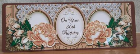 Peach Rose 30th Birthday Large Dl Card Kit by Sally Hickling