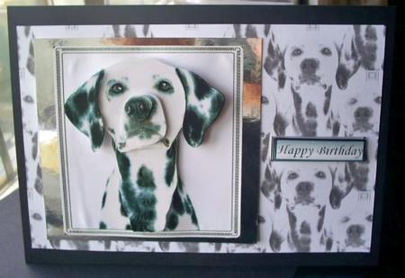 Dalmatian Dog Portrait Background by Sally Hickling