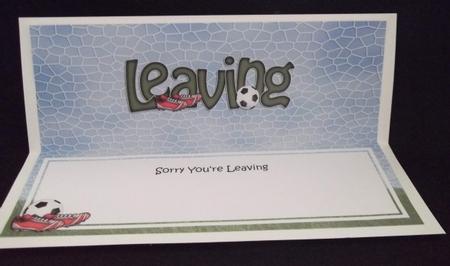Sorry You're Leaving Large Dl Matching Insert by Sally Hickling