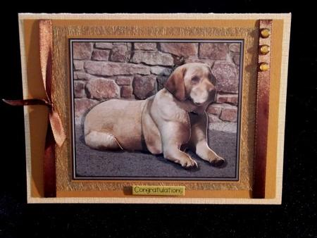 Golden Labrador Scene 3D Decoupage by Sally Hickling