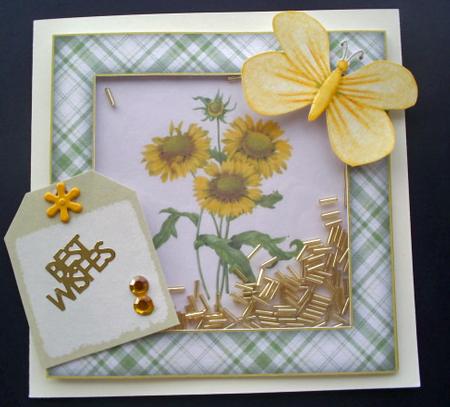 Pretty Floral Shaker Card Kit by Sally Hickling