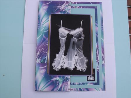 Lingerie Fold Back by Sally Weight