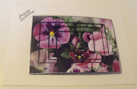 Pansies Tunnell by Sally Weight