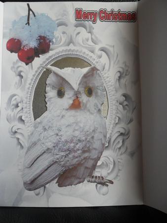 Little Snow Owl with Red Berries, Gatefold by Samantha Auld