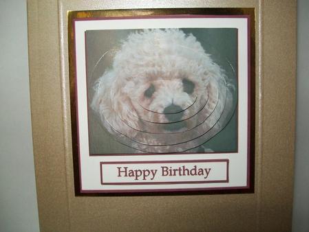 Poodle Oval Pyramid Topper with Greetings Plates Featured Gallery Photo