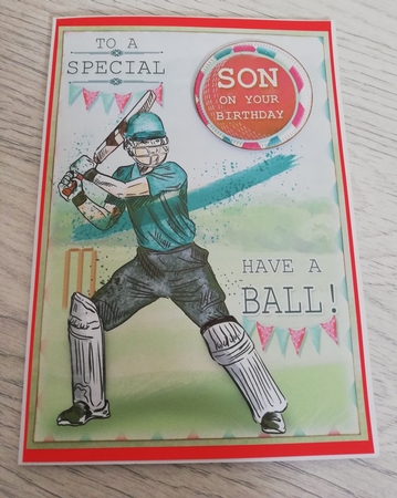 Cricket by Samantha Turner