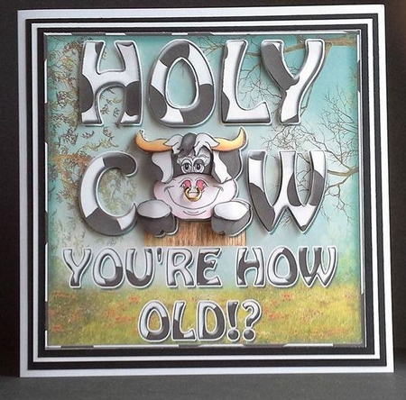 Holy Cow - you're How Old? by S. Corbey