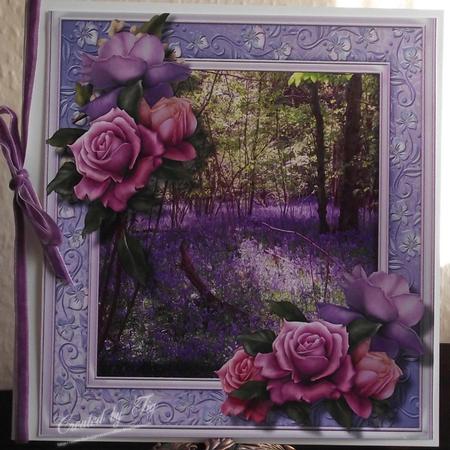 Lovely Bluebell Woods and Belleep Roses by S. Corbey