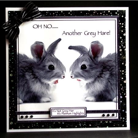 Oh No Another Grey Hare by Sandra Corbey