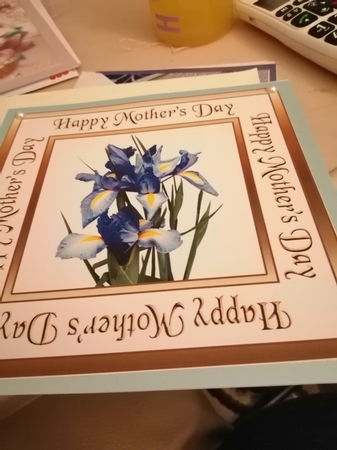 SC Irises (Mothers Day) by Sandra James