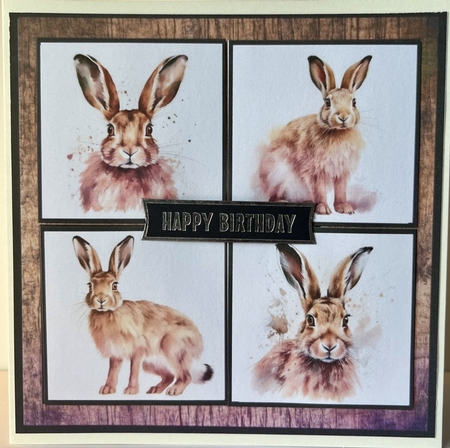 Mad as a March Hare by Sandra Parry