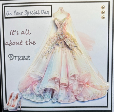 Special Dress by Sandra Parry