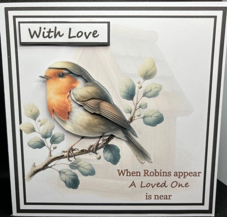 When Robins are Near  by Sandra Parry