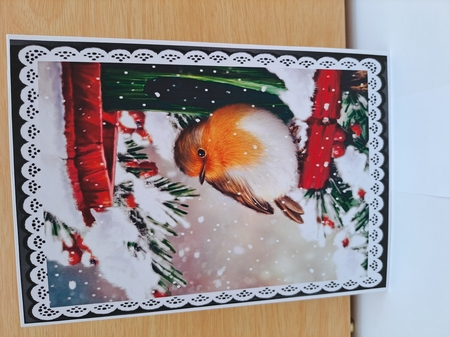 Pretty Robin in the snow A5 Black lace frame by Sandra Upton