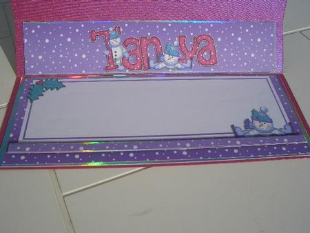 Xmas Tanya Matching Large Dl Insert by Sandra Wales