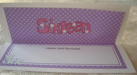 16th Birthday Large Dl Matching Large Dl Insert by Sandra Wales