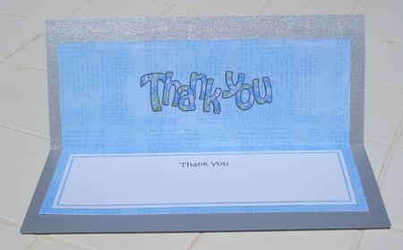 Thank You Matching Large Dl Insert by Sandra Wales