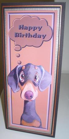 A Dogs Life Dl Card Front by Sandra Wales