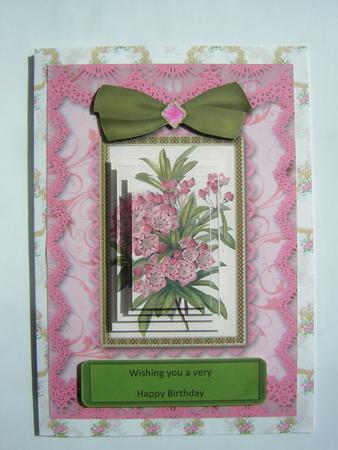 Pink Floral A5 Lace Border Card Front Step by Step by Sandra Carlse