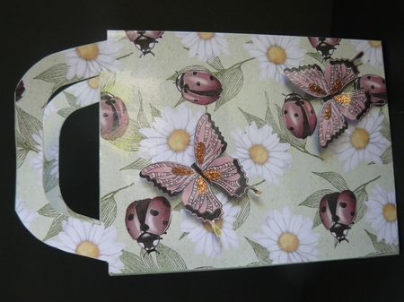 Daisy and ladybird gift bag 1 by Sandy Kingdon