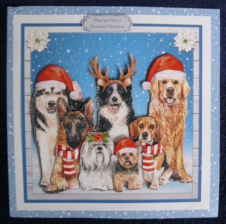CHRISTMAS DOGS by Sandy Kingdon