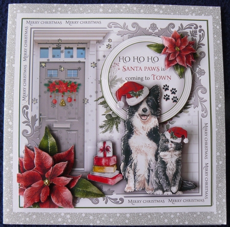 Santa Paws is Coming to Town by Sandy Kingdon