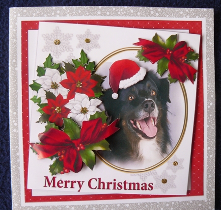 7x7 Collie dog Christmas wishes by Sandy Kingdon