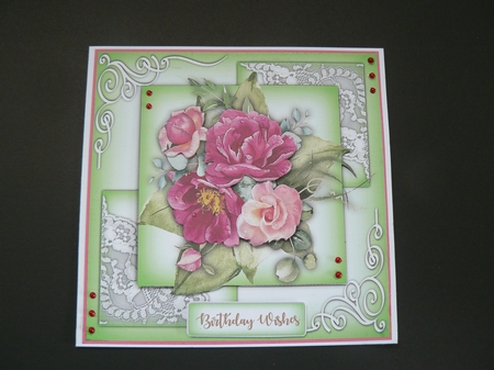 4, Beautiful 8x8 Flower Delights by Sandy Kingdon