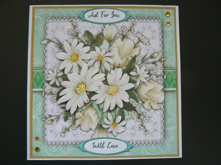 8x8 Beautiful Daisys  by Sandy Kingdon