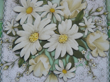 8x8 Beautiful Daisys  by Sandy Kingdon