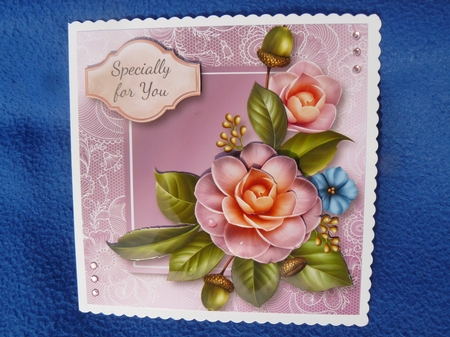 Beautiful Camellias Lacey Square by Sandy Kingdon