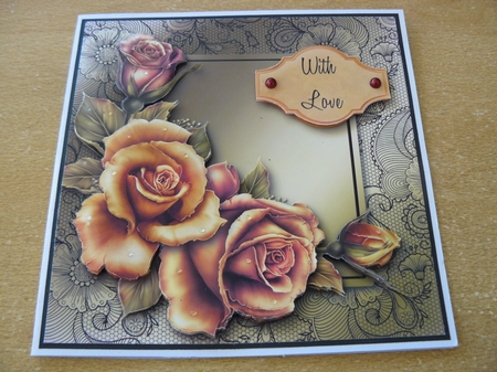 Gorgeous Sunset Roses Lacey Square by Sandy Kingdon