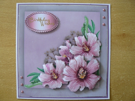 Beautiful Pink Hibiscus Flowers  by Sandy Kingdon
