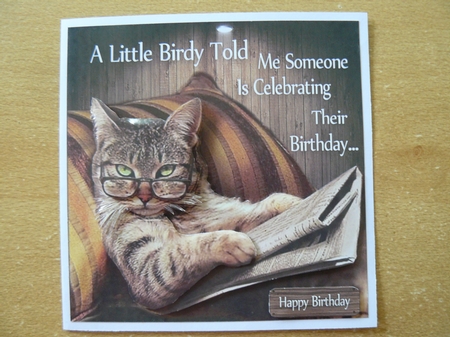 A Little Birdy Told Me Someone Is Celebrating Their Birthday 8x8 by Sandy Kingdon