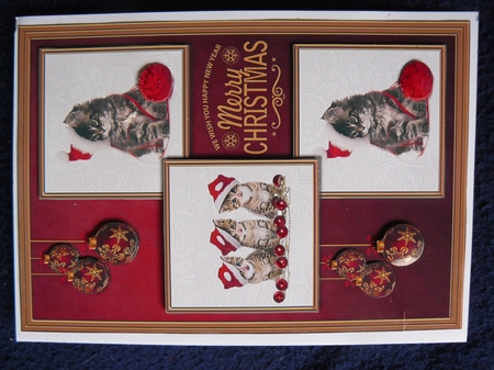 Christmas Animal 3 squared card front by Sandy Kingdon