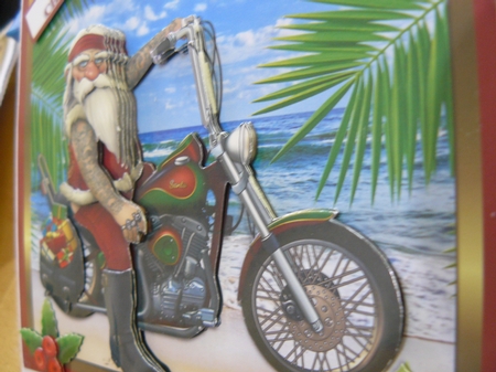SUNNY SANTA by Sandy Kingdon
