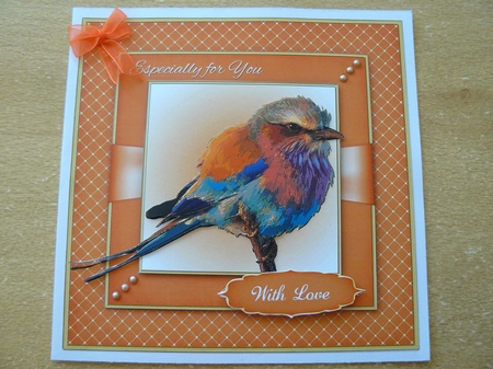 Pretty Little Bird Mini Kit by Sandy Kingdon