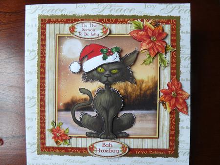Bah Humbug by Sandy Kingdon