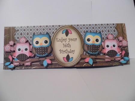 Pink Blue Owls 16th Birthday Large Dl Card Kit by Sarah Cope