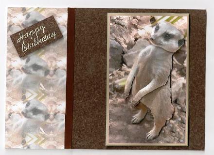 Meerkat 3D Decoupage with Background by Sarah Coulson