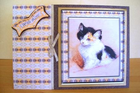 Cat4 by Sarah Coulson
