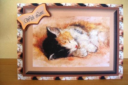Kitten by Sarah Coulson