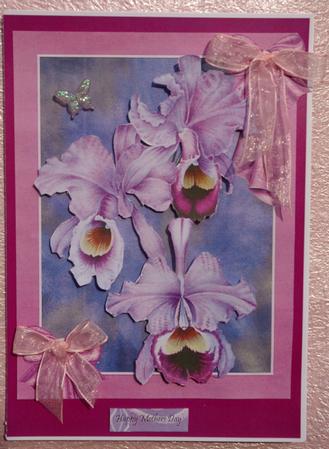 Beautiful Purple Orchids for a Special Friend by Ann Cunningham