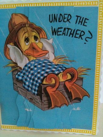 Ducky I Am Sorry You Are Under the Weather by Ann Cunningham