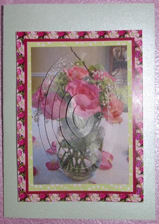 Celebration Roses by Ann Cunningham
