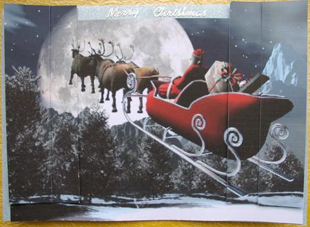 Moonlight Sleighride by Ann Cunningham