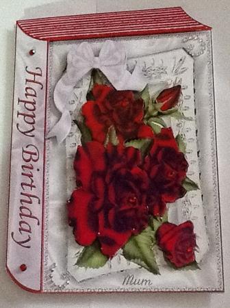 Red Roses, in Silver Frame with Bow A4 Book by Sarah Whitfield