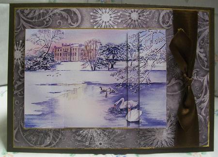 Winter Swan Lake by Sarah Lake