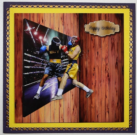 boxing by Selina Dittmann